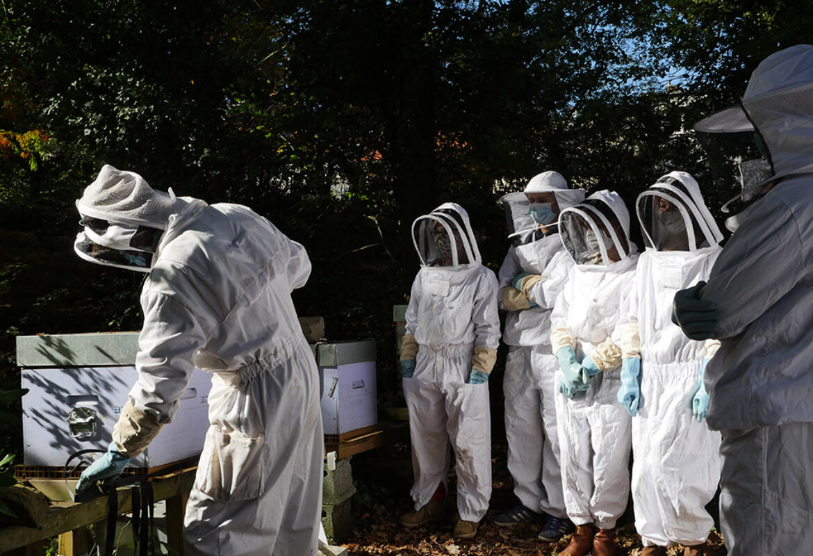 blanche-de-castille-lycee-general-technologique-apiculture