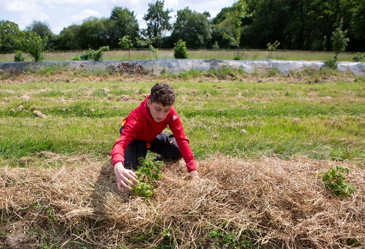 daniel-brottier-lycee-agricole