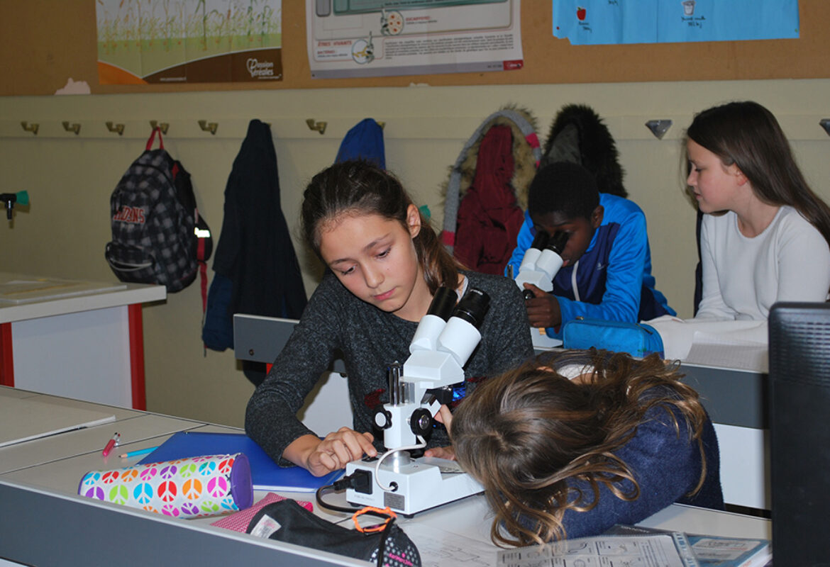 notre-dame-toutes-aides-lycee-general-technologique-laboratoire-sciences